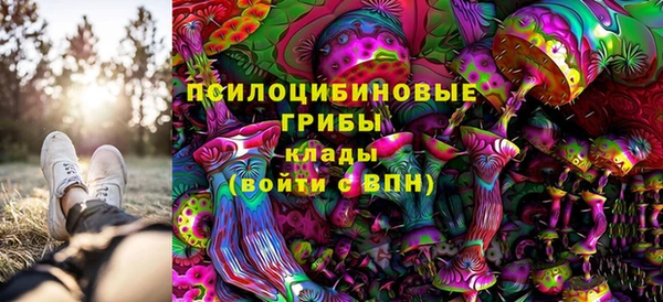гидра Киреевск