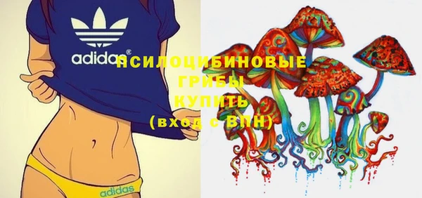 ПСИЛОЦИБИНОВЫЕ ГРИБЫ Киренск
