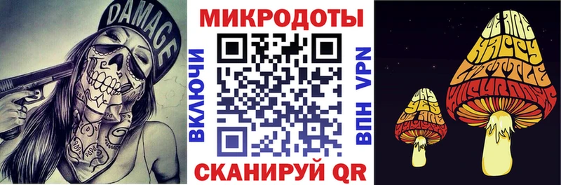 купить наркоту  Называевск  Галлюциногенные грибы Psilocybe 